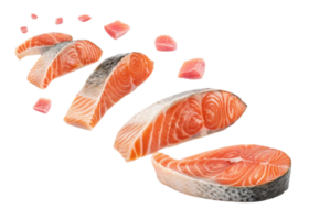 Fresh salmon fish fillet and steak pieces isolated on transparency background with vibrant salmon color and texture png