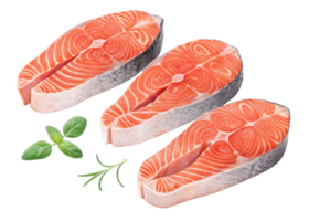 Fresh salmon steak slices with green herbs on transparency background showing vibrant salmon color and texture png