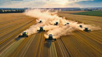 Fleet of combine harvesters working simultaneously in vast golden wheat field, raising dust clouds in synchronized rows during sunset, showcasing large-scale modern agriculture and food video