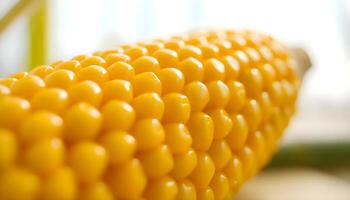 a close up of a corn cob on a table photo