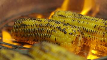 Grilled corn roasting over open flames at a summer cookout video
