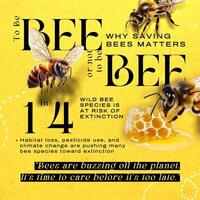 Save The Bees Infographic Instagram Carousel Post template