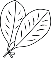 Monochrome drawing of spinach leaves in an artistic and simple design, representing nature png