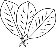 Monochrome drawing of spinach leaves in an artistic and simple design, representing nature and health. png