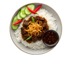 Overhead view of a bowl of rice with beef rendang, cucumbers, and chili peppers on a transparent background png