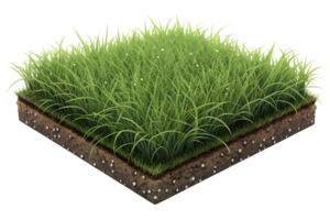 A square section of grass and soil shows the roots and the healthy green blades of grass above ground png