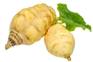 Close up of two maca roots with a single green leaf against a transparent background in studio lighting png