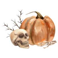 Halloween scary composition with orang pumpkin, skull and dead hand with floral watercolor illustration. Hand drawn spooky clipart, gothic and esoteric theme painting for poster, card,label, design png