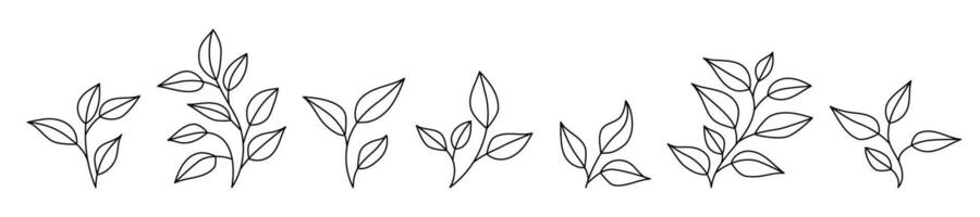Outline of simple leaf designs in a horizontal pattern. vector