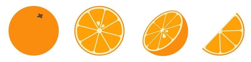 Whole orange and sliced orange variations on white background vector