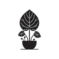 Simple caladium plant silhouette. Caladium plant icon isolated on flat background vector