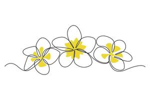 Continuous single-line art drawing of plumeria flowers. Decorative plumeria flowers line art background vector
