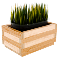 3d render grass growing wooden box with transparent background png