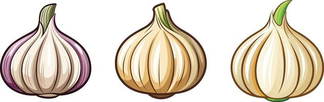 Three different types of onions on a white background vector