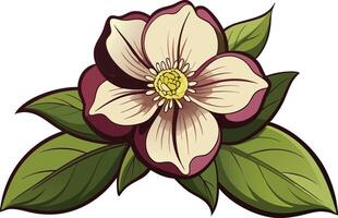 A flower with leaves and petals vector