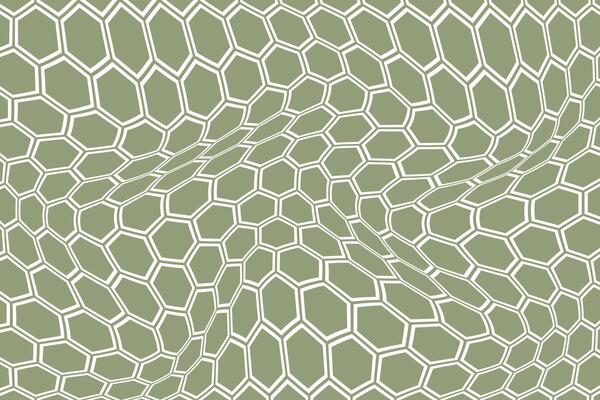 simple abstract white color polygon honeycomb wavy distort pattern on ancient color background abstract honeycomb grid with distorted hexagons