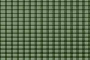 simple abstract light deep ancient color line plaid check tartan gingham line pattern that can be used as a background or texture vector