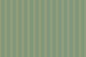 simple abstract light deep ancient color vertical line pattern vector