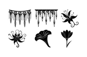 Wisteria Honeysuckle Petunia Crocus Design vector