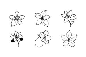 Lemon Orange Pear Blossom Floral Design vector