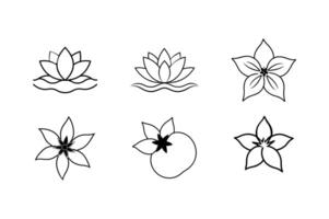 Lotus Papaya Tomato Floral Art vector