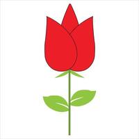 red rose on white background vector