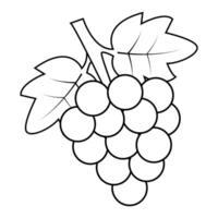 Grape icon flat and linear Illustration vector