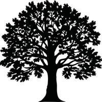 Silhouette of a majestic oak tree with dense foliage isolated on white vector
