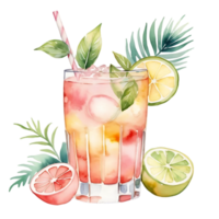 Watercolor Cocktail with Citrus Fruits and Greenery on Transparent Background png