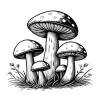 Monochrome fungus grouping with intricate line work and detailed grass vector