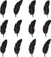 set of feathers vector