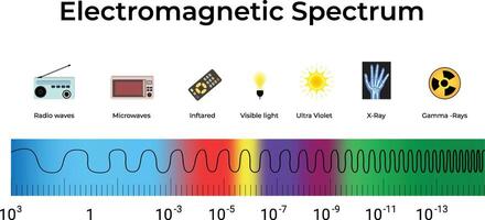 Electromagnetic Spectrum Radio Waves to Gamma Rays Design Illustration vector