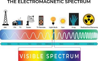 Electromagnetic Spectrum Overview Design Illustration vector