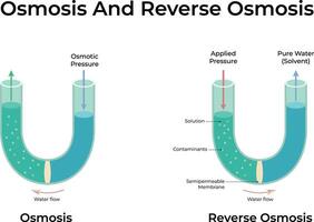 Osmosis and Reverse Osmosis Design vector