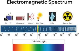Electromagnetic Spectrum Diagram Design Illustration vector