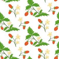 Seamless pattern with wild strawberries, green leaves and small white flowers on white background. Fresh hand drawn for natural designs, summer themes, wrapping paper and botanical projects vector