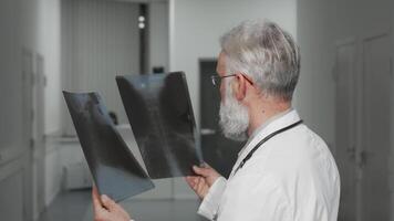 Senior doctor smiling to the camera while examining x-ray scans video