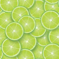 Citrus lime fruit slice seamless pattern. Fresh healthy food background drawn in realistic style vector