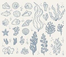A large set of hand-drawn elements of marine life. Shells, mollusk shells, algae and corals. Contour drawings. vector