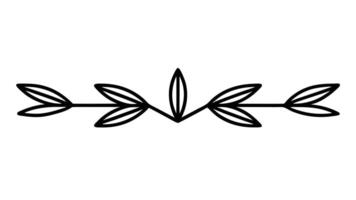 Minimalist Floral Divider Botanical Element Graphic Design vector