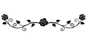 Elegant Black Rose Border With Vines And Leaves vector