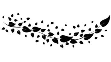 Black Leaves Silhouette Branch Flowing Graphic Design Element vector