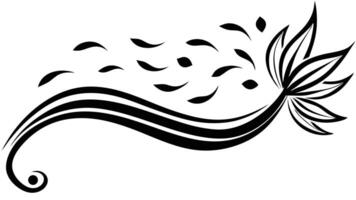 Black And White Floral Flourish Design Element Illustration vector