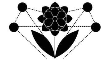 Abstract Flower Network Illustration Black And White vector