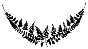 Fern Frond Silhouette Curved Botanical Design Element vector