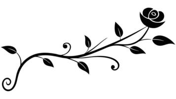 Black Rose Vine Decorative Floral Graphic Element vector