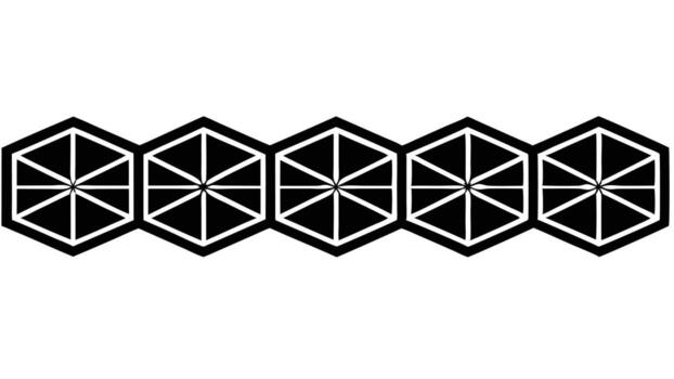 Geometric Hexagon Pattern Design Black And White vector