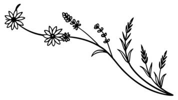 Botanical Line Art Flowers And Plants Illustration vector