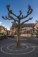 Public Square in Frankfurt with Tree and Historic Architecture photo