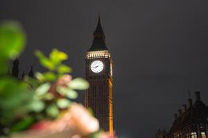 Big Ben glows brightly against a dark sky, with intricate details highlighted. Blurred greenery and flowers in the foreground add depth to the urban scene. photo